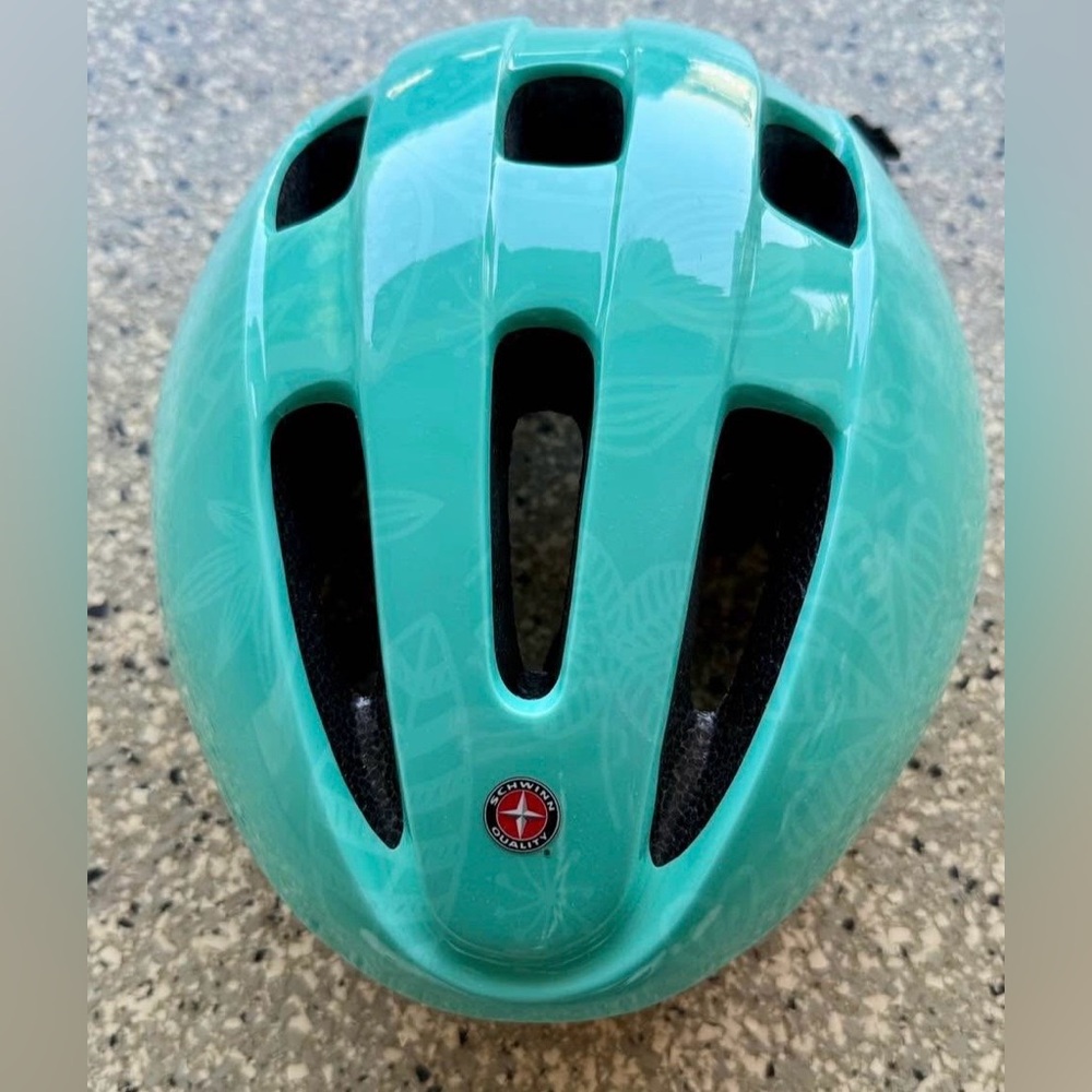 Schwinn Helmet